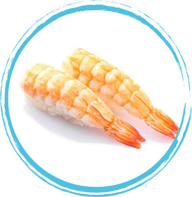 NIGIRI (3)